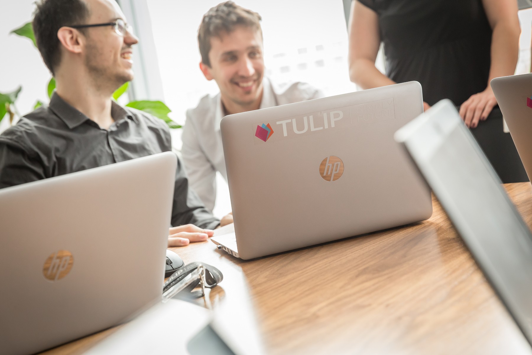 tulip platform case studies