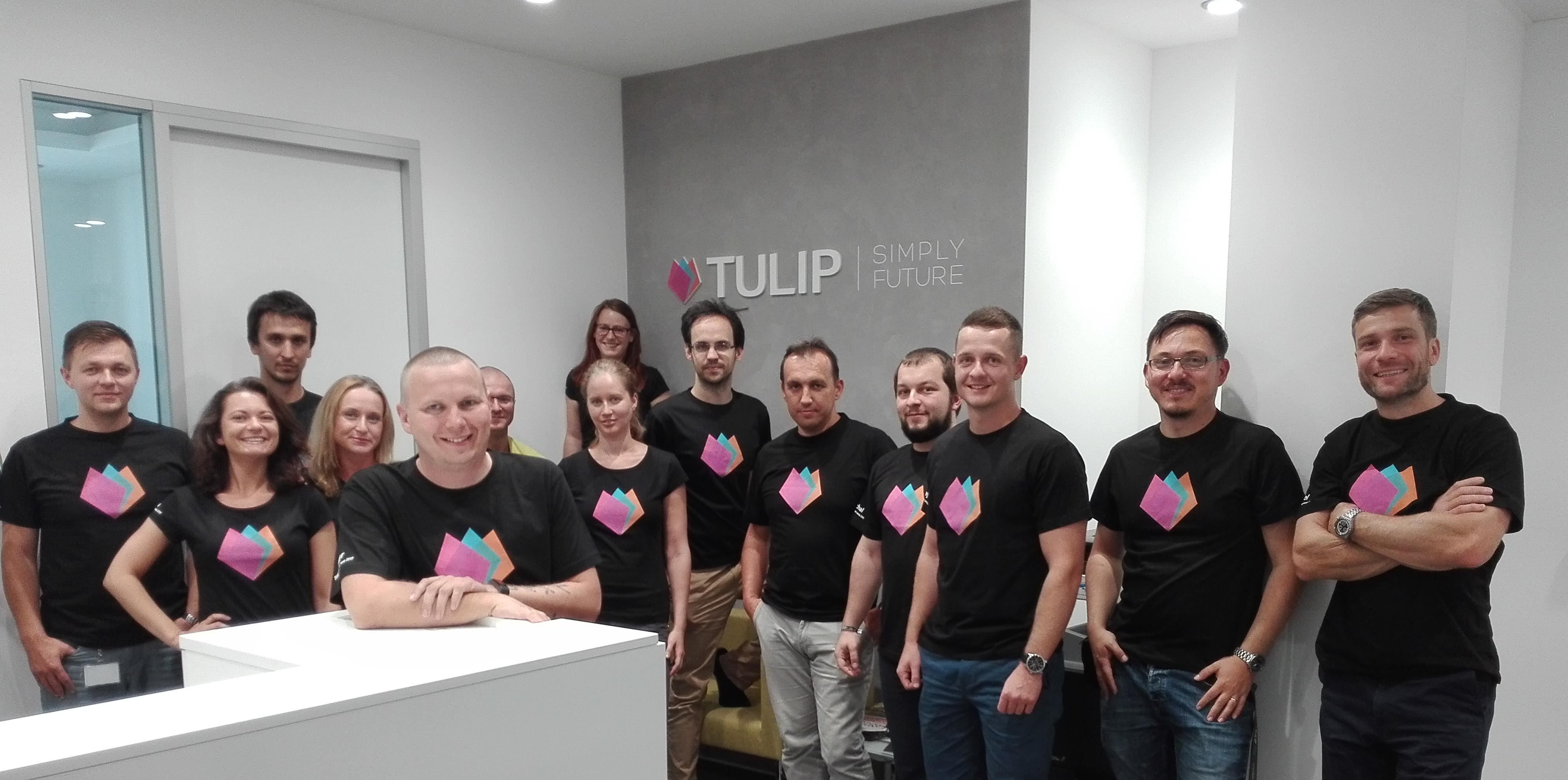 TULIP_Solutions_employees_2017