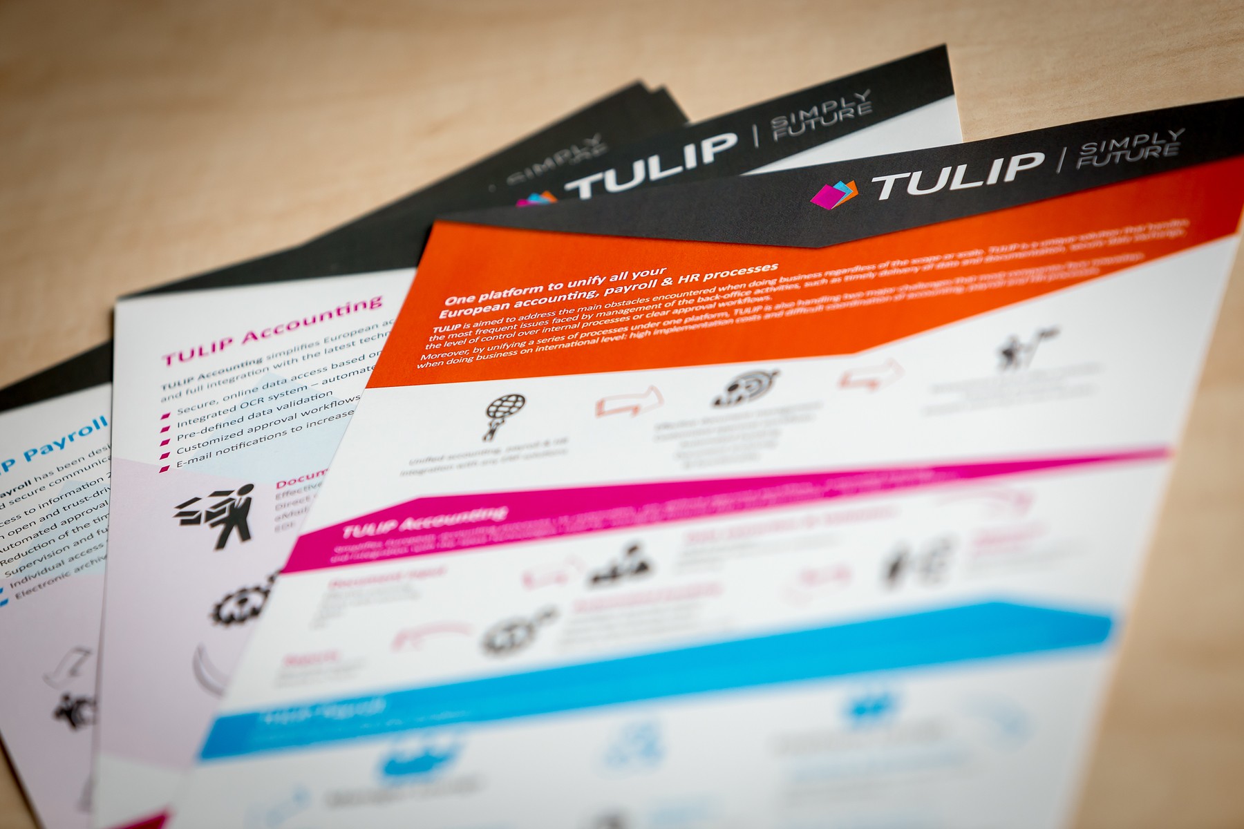 TULIP presenting AI solution in e-accounting at 2018´ Prague conference