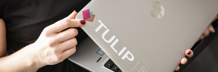 TULIP - MFA